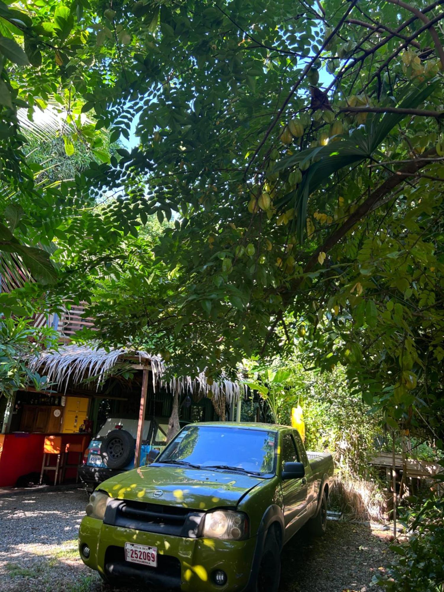 Organico Punta Riel Otel Cahuita Dış mekan fotoğraf