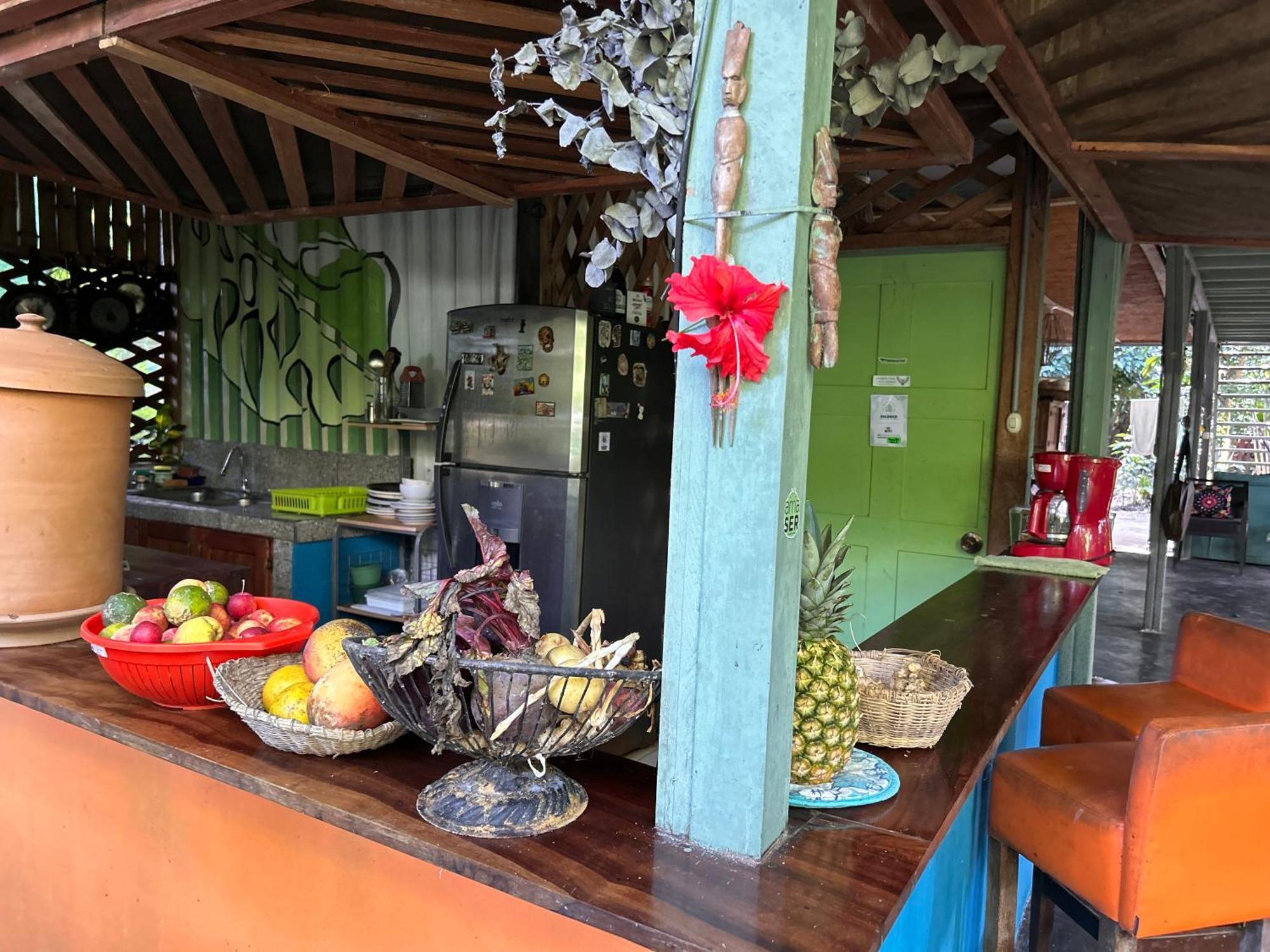 Organico Punta Riel Otel Cahuita Dış mekan fotoğraf