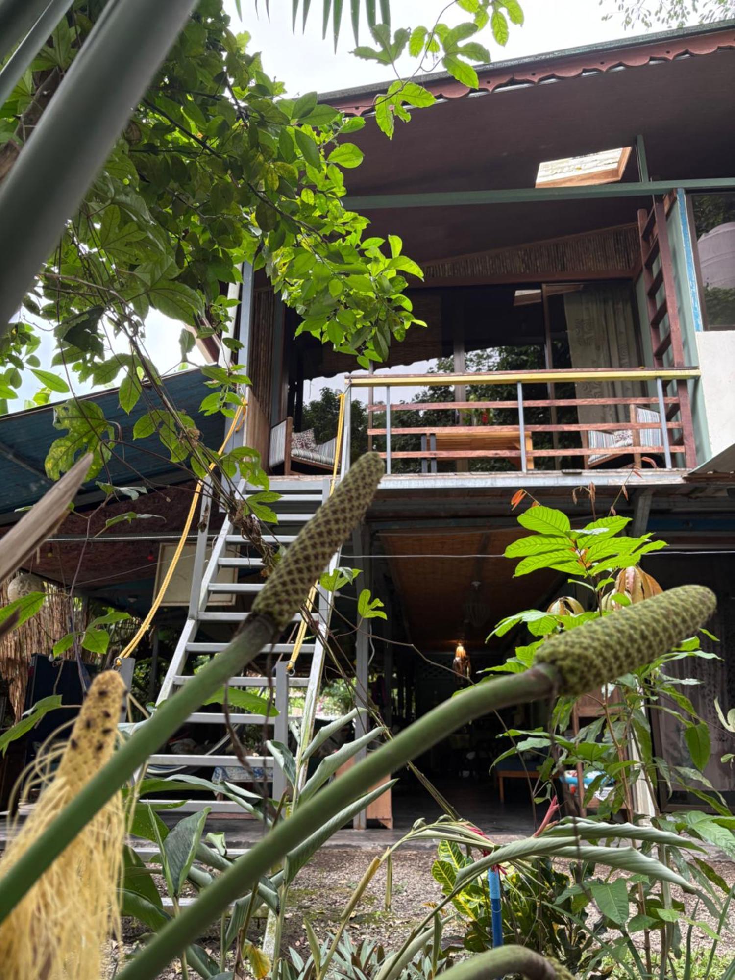 Organico Punta Riel Otel Cahuita Dış mekan fotoğraf