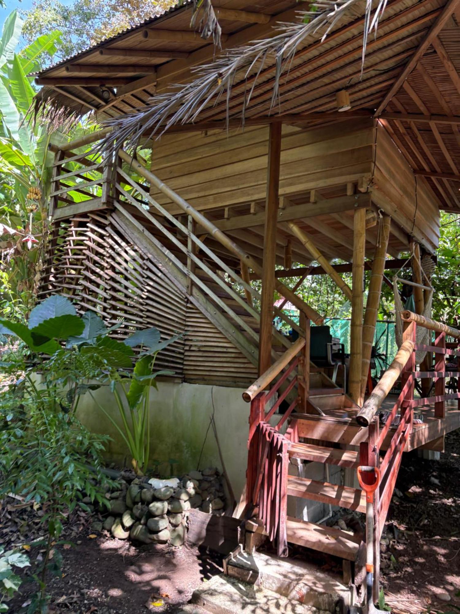 Organico Punta Riel Otel Cahuita Dış mekan fotoğraf