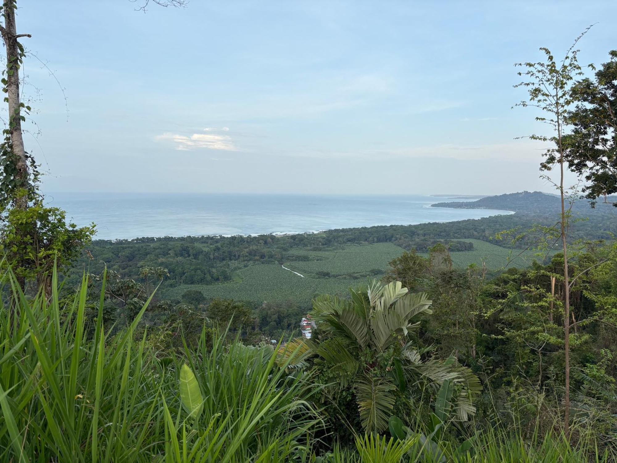 Organico Punta Riel Otel Cahuita Dış mekan fotoğraf