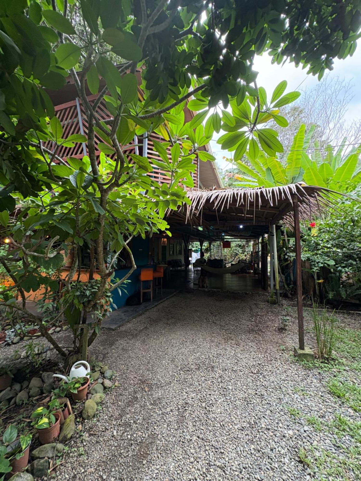 Organico Punta Riel Otel Cahuita Dış mekan fotoğraf