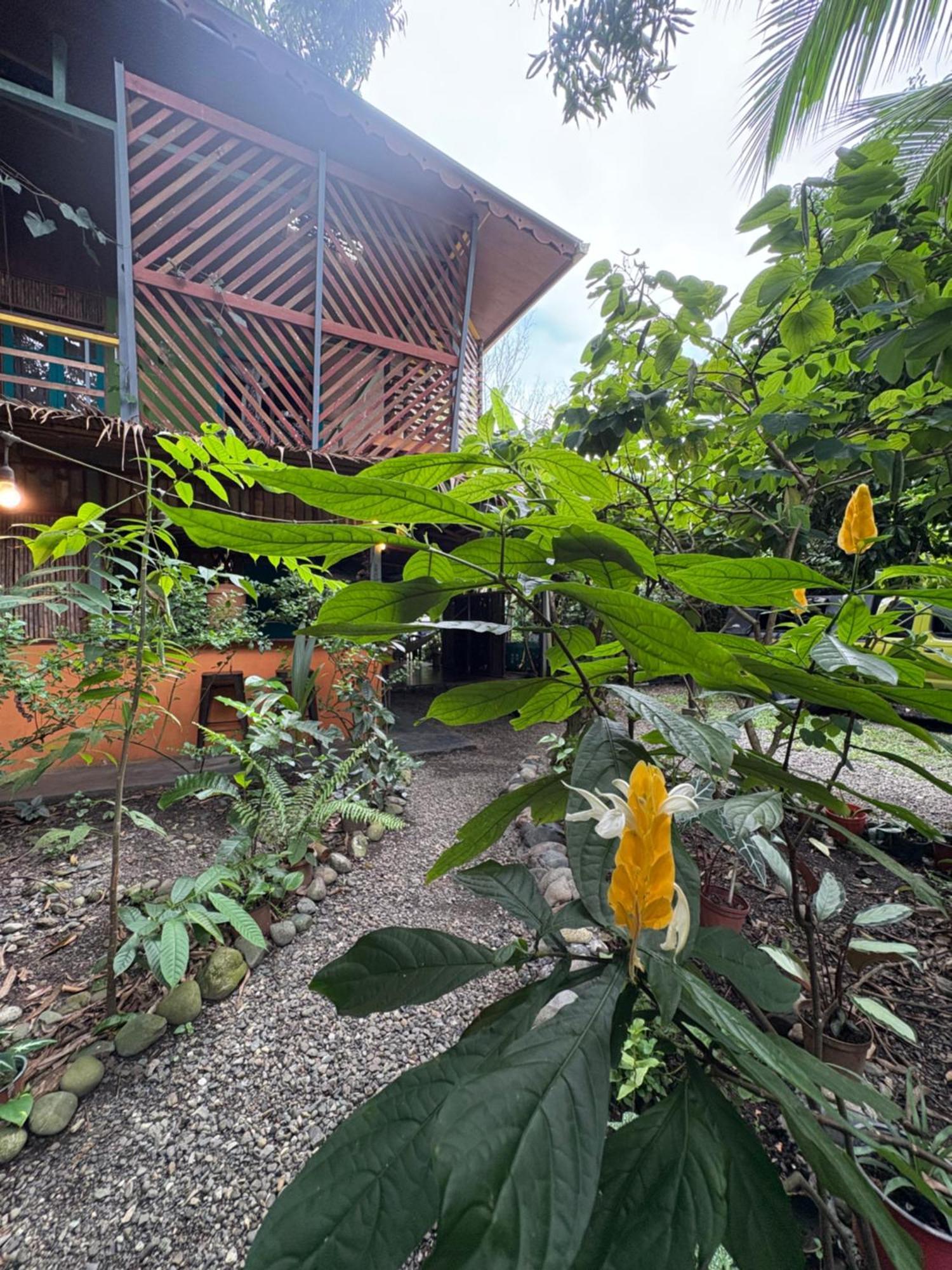 Organico Punta Riel Otel Cahuita Dış mekan fotoğraf